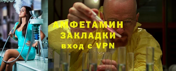 индика Арсеньев