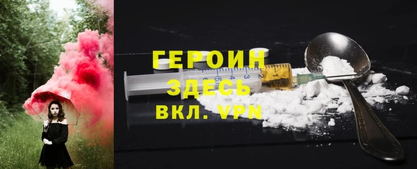 индика Арсеньев