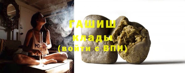 шишки Ельня