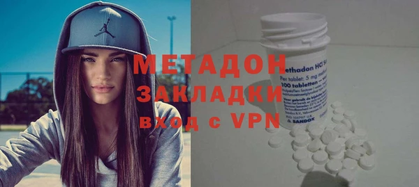 индика Арсеньев
