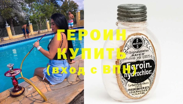 индика Арсеньев