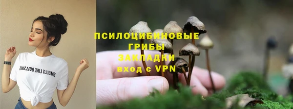 ПСИЛОЦИБИНОВЫЕ ГРИБЫ Аркадак