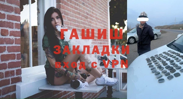 индика Арсеньев