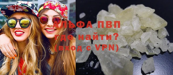 индика Арсеньев