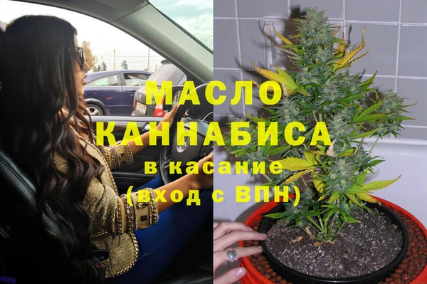 индика Армянск