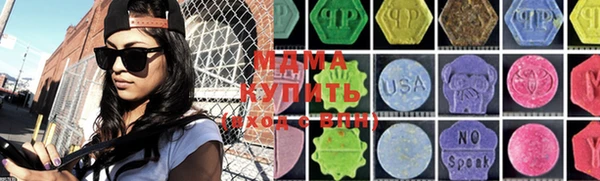 индика Арсеньев