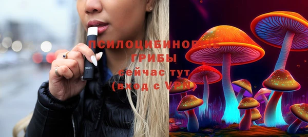 ПСИЛОЦИБИНОВЫЕ ГРИБЫ Аркадак