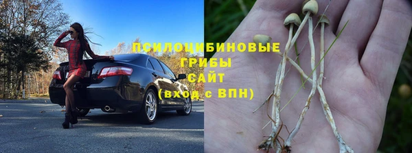 ПСИЛОЦИБИНОВЫЕ ГРИБЫ Аркадак