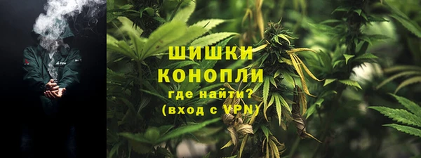 индика Арсеньев