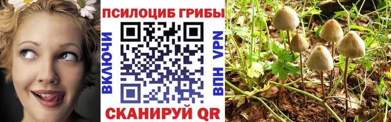 как найти закладки  Островной  MEGA зеркало  Галлюциногенные грибы Cubensis 